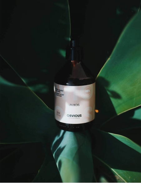 Sapone liquido Un Bois