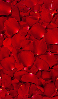 HEART NOTES